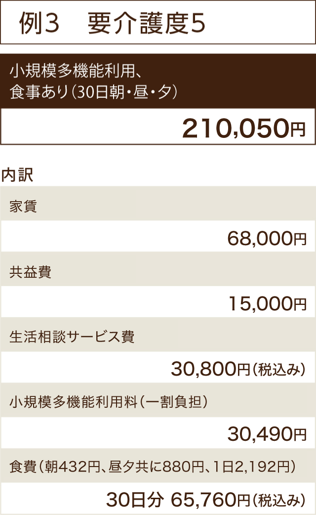 例３　要介護度５